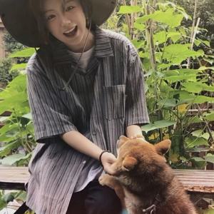 여성용 시폰 캐주얼 반소매 셔츠 경량 봄 여름 턴다운 칼라 블랙 스트라이프 루즈핏