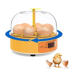 육종 부화기 닭 오리 거위 6구 자동 회전 부화기 미니 가정용 자동 닭 부화기
