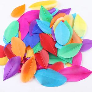 도매 컬러 거위 깃털 대량 천연 미니 깃털 공예 DIY 쥬얼리 제작 드림캐쳐 펜던트 깃털 장식 5-8cm