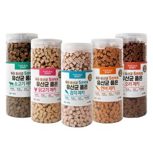 반려동물 강아지 유산균 간식, 개 간식 육포 1kg