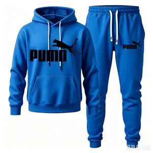 남성용 투피스 스포츠 의상, PUMA 로고가 프린트된 후드 세트, 가을과 겨울에 적합하며, 캐주얼한 스타일입니다.