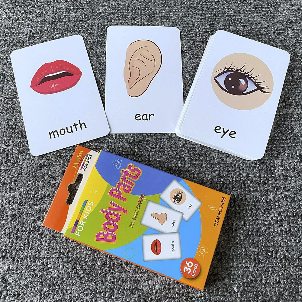 어린이용 동물 모양 컬러 타임 플래시 카드, 몬테소리 조기 교육 학습 교육 완구, 어린이 선물, 36 개/세트