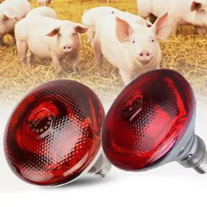 100w 150w 175w 200w 250w 275w 애완동물용 적색 열등 데이 나이트 양서류 뱀용 열전구 UV 라이트