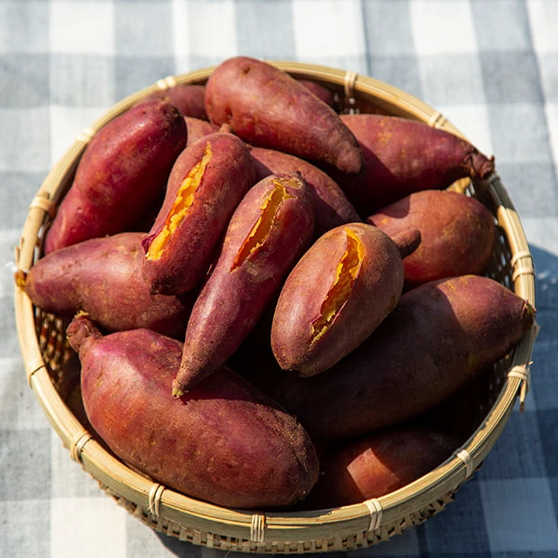26년 세척 꿀밤고구마 2kg 3kg 5kg