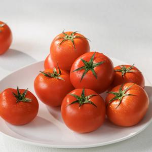 완숙 찰토마토 2kg 5kg