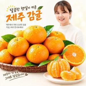 유나네농장 노지감귤 10kg 로얄과(S/M과) 농장직배송