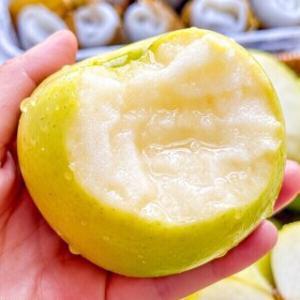 (마감세일) 유명산지 꿀당도 시나노골드 5kg 마트납품용 꿀사과 박스포함