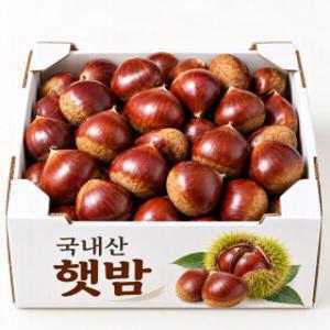 (재구매1위) 명품 공주 알밤 햇밤 2kg 중과/대과