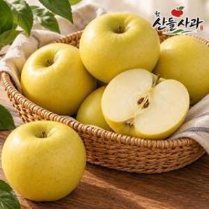 햇산들 26년 햇 시나노골드 사과(정과) 5kg