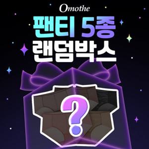 [랜덤박스] 오모떼 여성 맥시 빅사이즈 랜덤 팬티 5종
