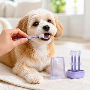 강아지 3종 세트 어금니 양치 반려동물 고양이 소형견 칫솔 혀클리너 치석제거 PE