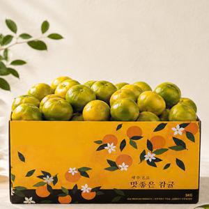 [감동]행복 제주 햇 감귤 4.5kg 소과