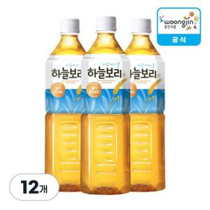 웅진식품 하늘보리 1L X 12개