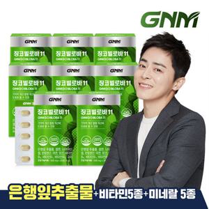 GNM 징코빌로바11 8박스 / 은행잎추출물 비타민B 아연 판토텐산