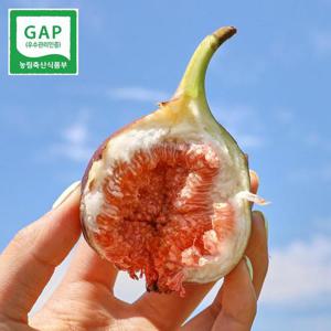 [GAP인증] 당일수확 영암 무화과 1kg(500gx2팩)