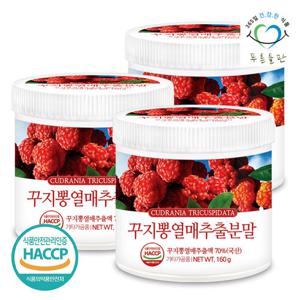 [푸른들판] 국산 꾸지뽕 열매 추출 분말 가루 160gx3통 꾸찌뽕 추출물 차 구찌뽕 파우더 HACCP 인증
