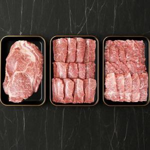 갤러리아_+1등급 한우 선물 세트 1kg 소고기 구이용