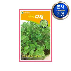 새싹 다채 씨앗 12g . 비타민채 무소독 채소 재배 씨 종자