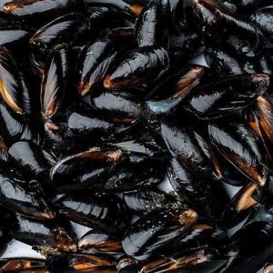 [기타]국내산 제철 홍합 2kg 180미 내외