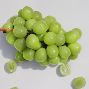 국내산 샤인머스켓 2kg(4수)