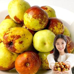 가을 아삭달콤 햇 사과대추 특 500g