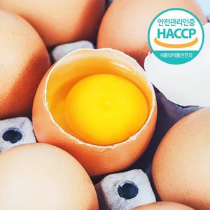 *농할할인*[HACCP] 농장직송 웰굿 신선한 계란 30구(1판,특란)