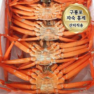 당일조업 구룡포 자숙 박달홍게 프리미엄 홍게 3kg (9~11마리)