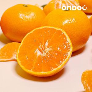 [온도씨]제주 하우스 감귤 1.5kg 29~35과내외(2S/꼬마)