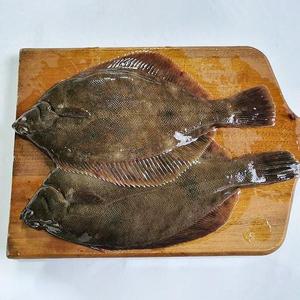 국내산 냉동 도다리 1kg