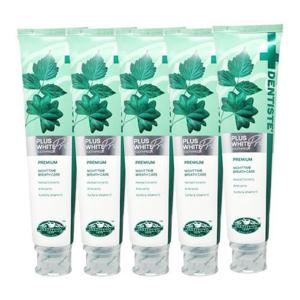 SIAM COSMECEUTICAL 덴티스테 플러스화이트 프로 치약 200g 5개 Ss