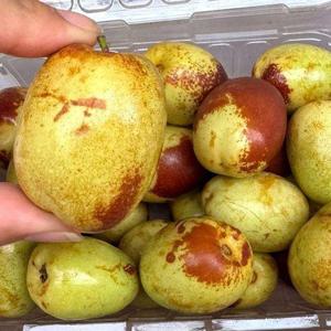갤러리아_프리미엄 사과대추 특 2kg
