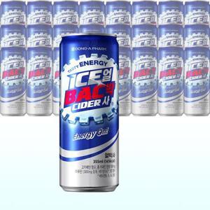 동아 얼박사 355ml x 24캔