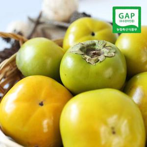 [생산자직송] GAP 인증받은 창원 태추단감(중) 2.5kg