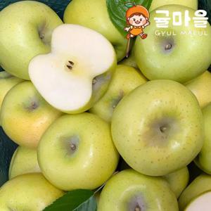 귤마을 가정용 시나노 골드 사과 3kg 대과 12과내