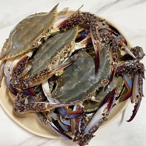[팜스온테이블] 태안 신진도 당일조업 꽃게 산지직송 수꽃게 서해안 숫꽃게 3kg