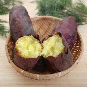 [작심밀도]산지직송 해남 밤고구마 진율미 대왕 5kg