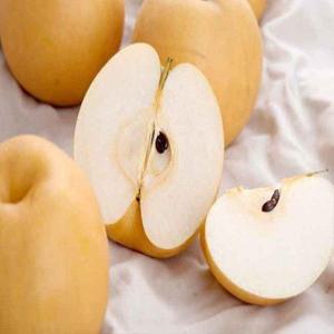 갤러리아_전남 나주 햇 나주배(신고배) 실속 가정용 3kg /4-8과내외