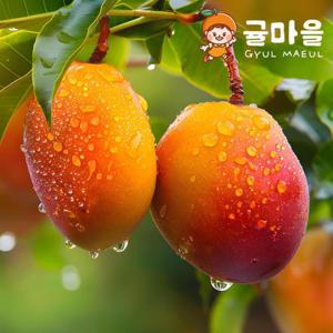 귤마을 달콤한 애플망고 4kg 8-12과
