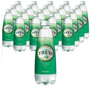 트레비 라임 탄산음료 페트 500ml 20개 /s