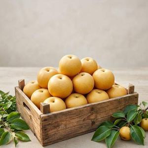 갤러리아_나주 햇 배 특품 15kg (21-25과내외)