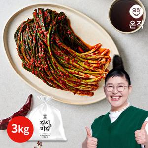 [파김치단일구성][온작] 이영자 파김치 3kg