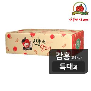 [감홍/특대과] 산들앤 달코미 세척사과 3kg (총1박스)
