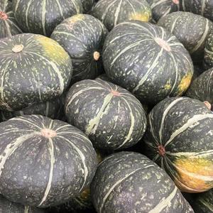 국내산 달콤한 단호박 5kg