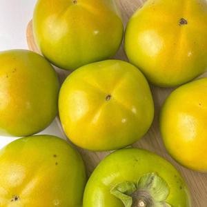 태추단감 소과 2kg (14과 내외)
