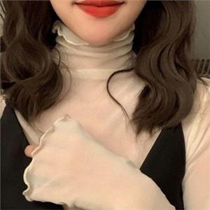 하이넥 여성 시스루 블라우스 이너웨어 여성 폴라 블라우스 데일리 가을