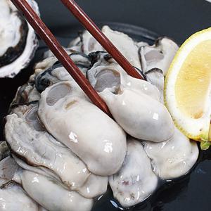 통영 생굴 1kg