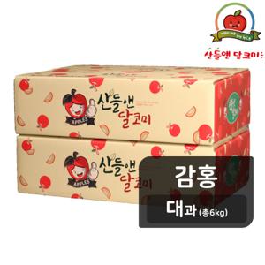 [기획한정][감홍/대과] 산들앤 달코미 세척사과 6kg (총2박스)