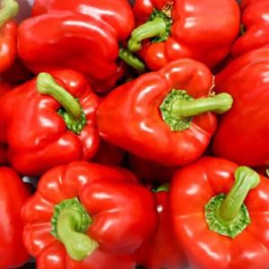[농협] 못난이 빨강 파프리카 2kg(상품)