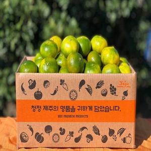 제주 극조생 노지 감귤 4.5kg 대과