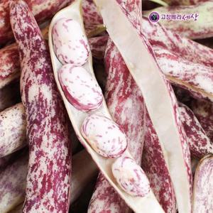 [베리세상] 국내산 호랑이콩 1kg